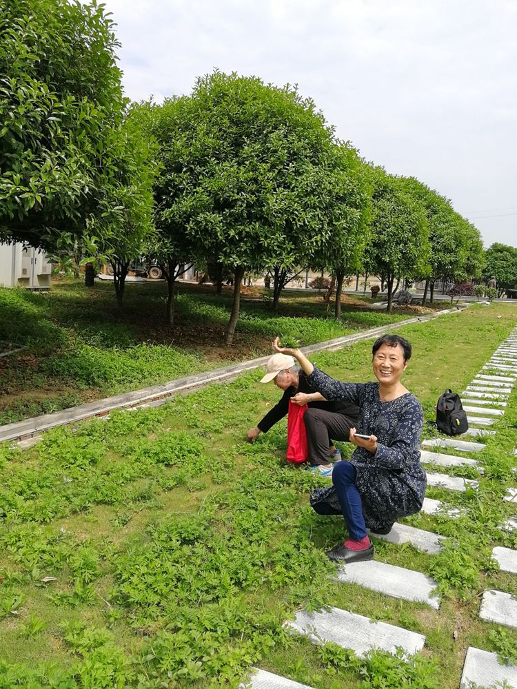 2138cn太阳集团古天乐