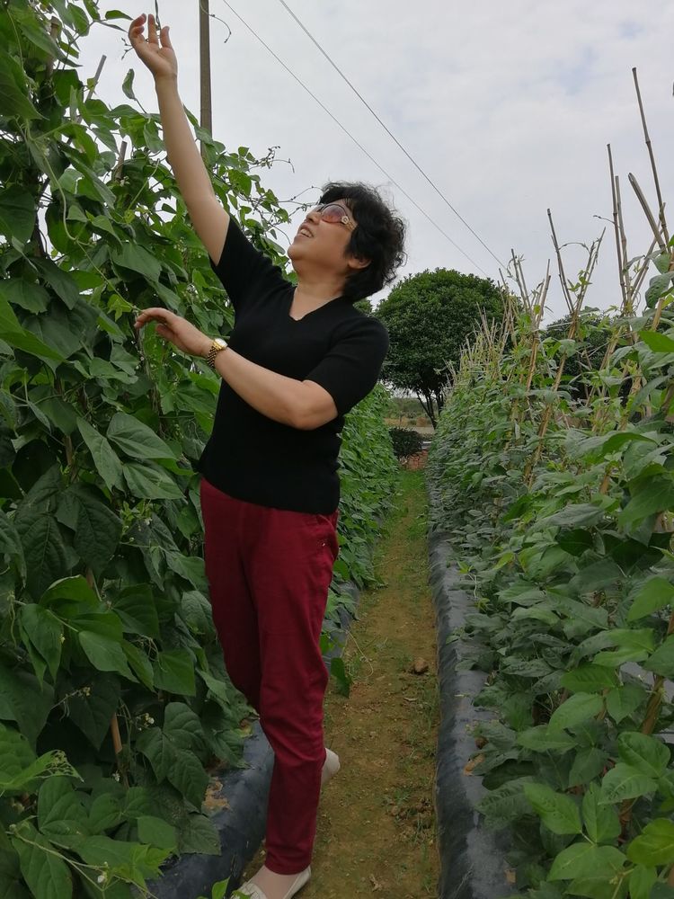 2138cn太阳集团古天乐