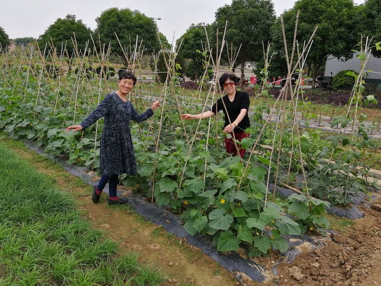2138cn太阳集团古天乐