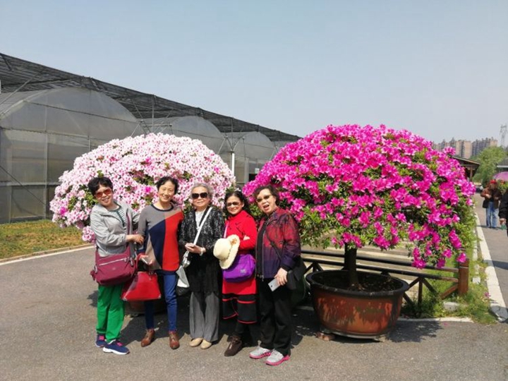 2138cn太阳集团古天乐