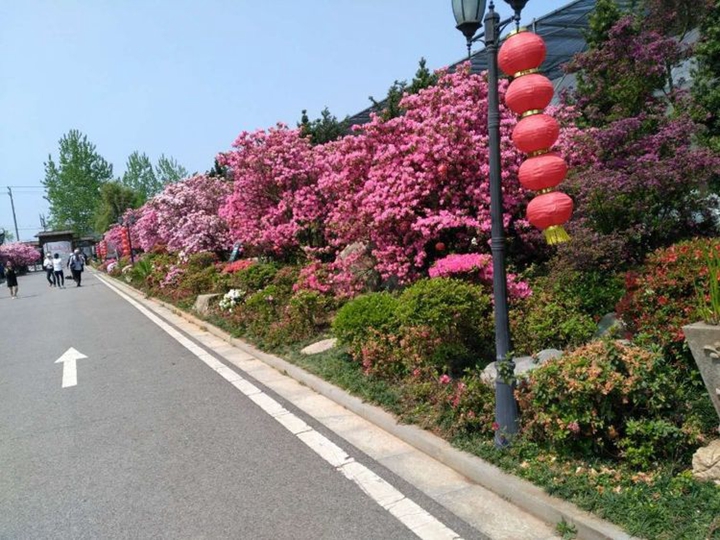 2138cn太阳集团古天乐